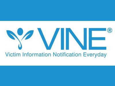 VINE Logo