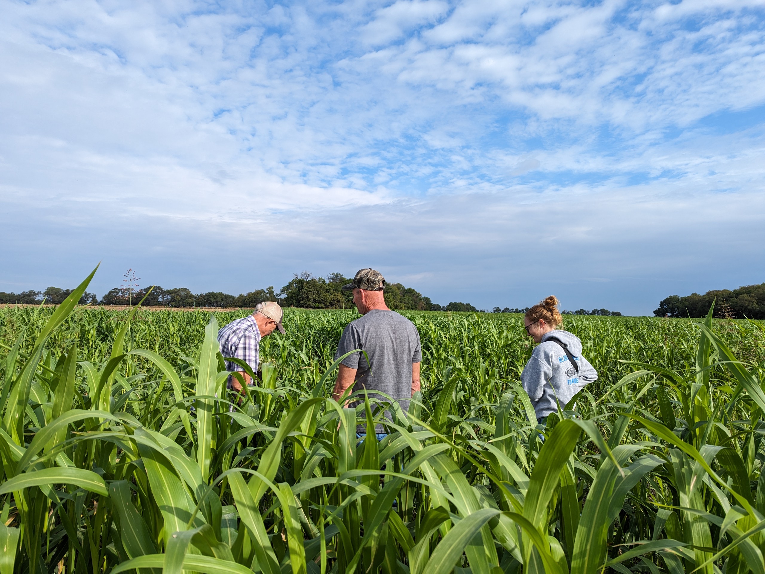 Producer and NRCS staff in a cover crop field