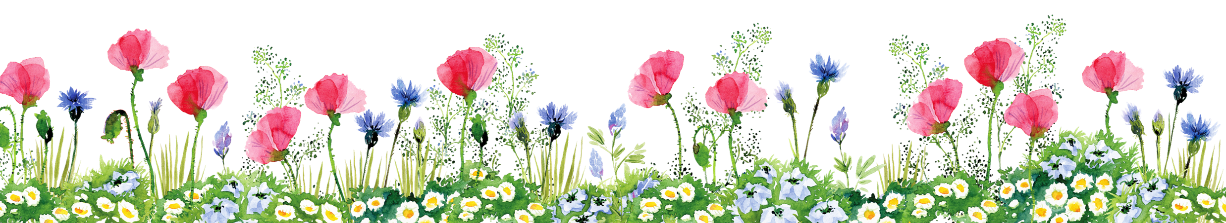row of flowers