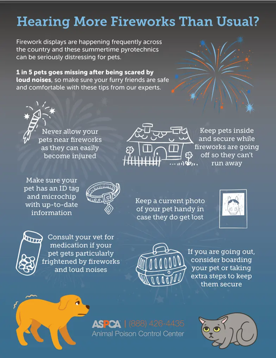 Tips for Pets and Fourth of July Image