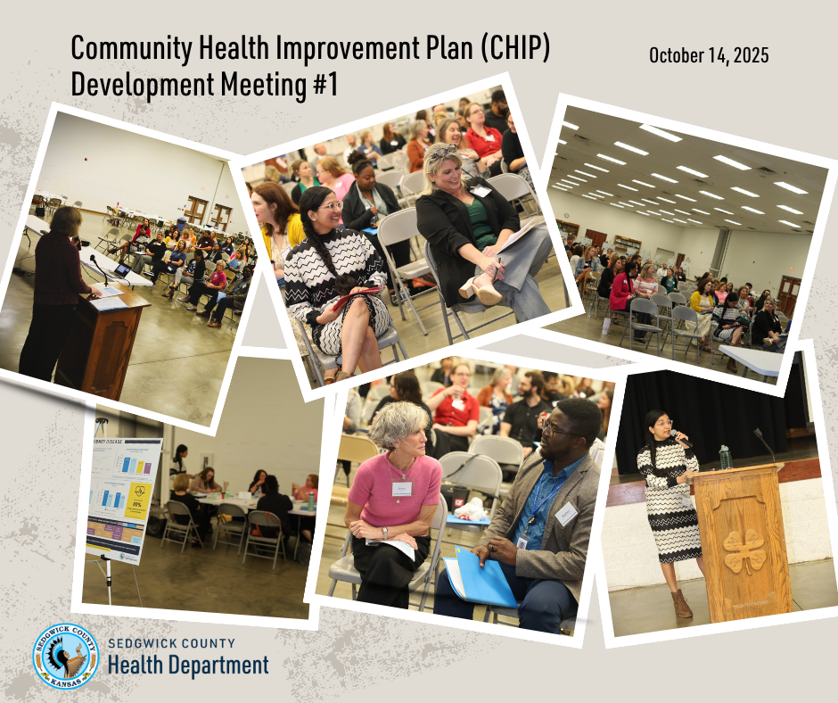 CHIP Development Meeting Phots
